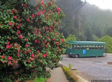 Весна в Лиссабонском округе — ярко и свежо