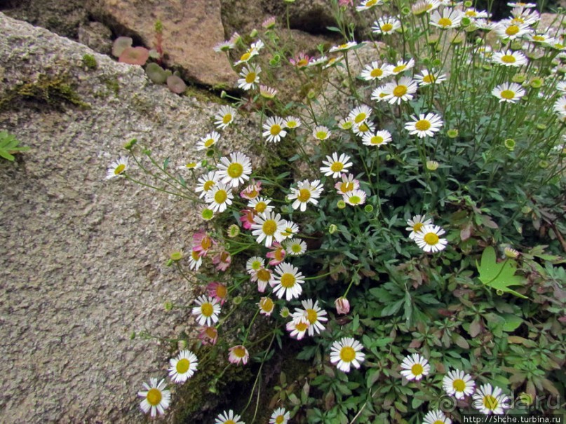 Весна в Лиссабонском округе — ярко и свежо