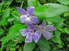 Весна в Лиссабонском округе — ярко и свежо