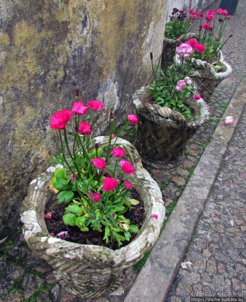 Весна в Лиссабонском округе — ярко и свежо