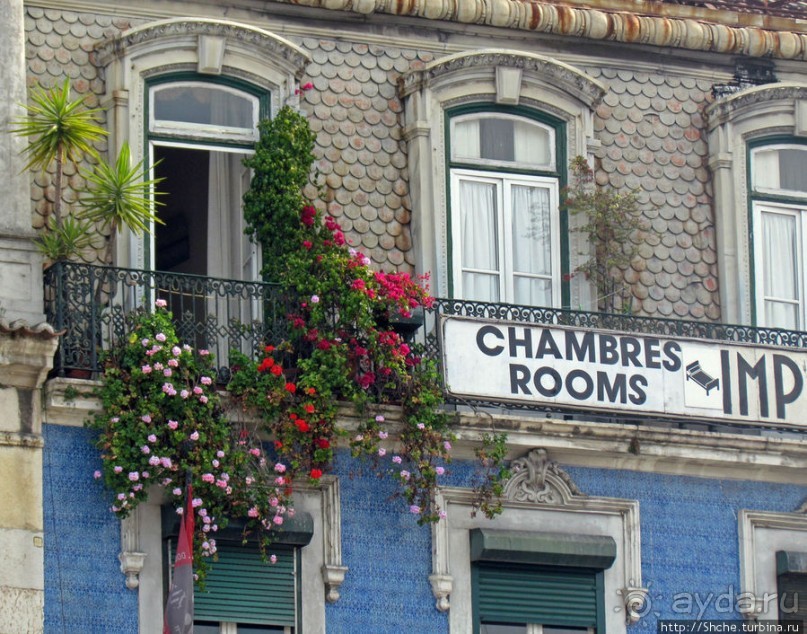 Весна в Лиссабонском округе — ярко и свежо