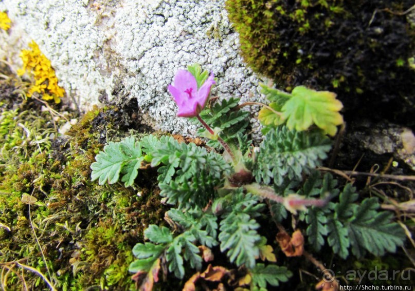 Весна в Лиссабонском округе — ярко и свежо