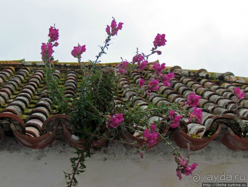 Весна в Лиссабонском округе — ярко и свежо