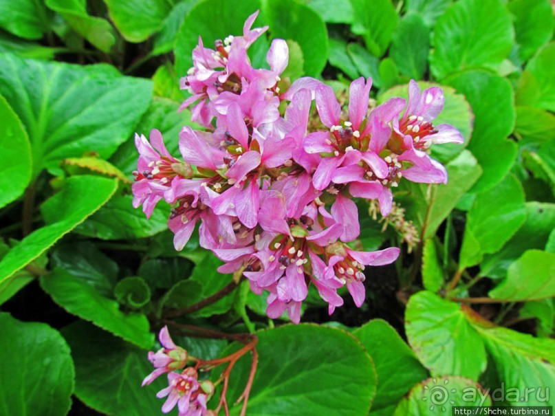 Весна в Лиссабонском округе — ярко и свежо