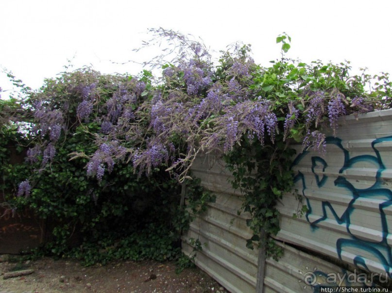 Весна в Лиссабонском округе — ярко и свежо