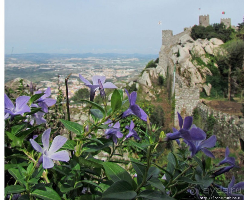 Весна в Лиссабонском округе — ярко и свежо