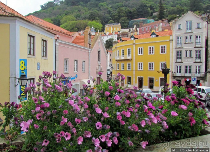 Весна в Лиссабонском округе — ярко и свежо