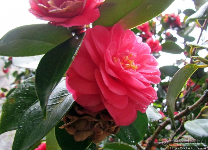 Весна в Лиссабонском округе — ярко и свежо