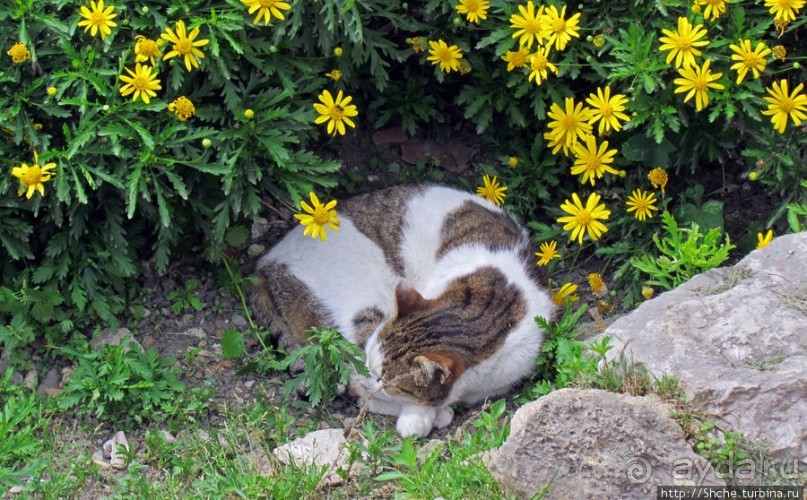 Весна в Лиссабонском округе — ярко и свежо