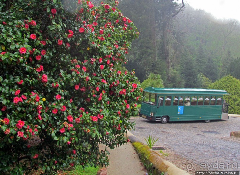 Весна в Лиссабонском округе — ярко и свежо