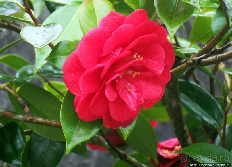 Весна в Лиссабонском округе — ярко и свежо