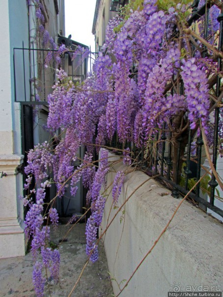 Весна в Лиссабонском округе — ярко и свежо