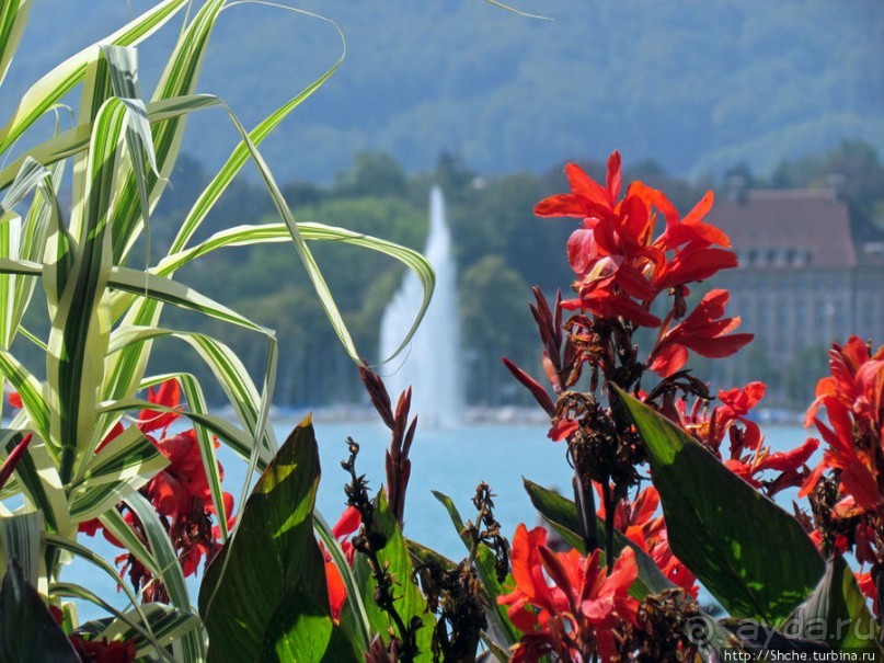 Цюрихское озеро. Берег левый, берег правый