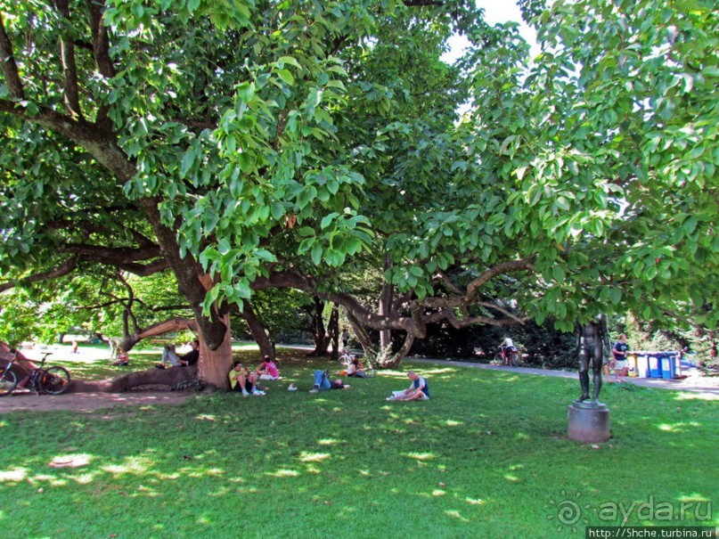 Цюрихское озеро. Берег левый, берег правый