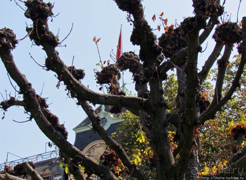 Цюрихское озеро. Берег левый, берег правый