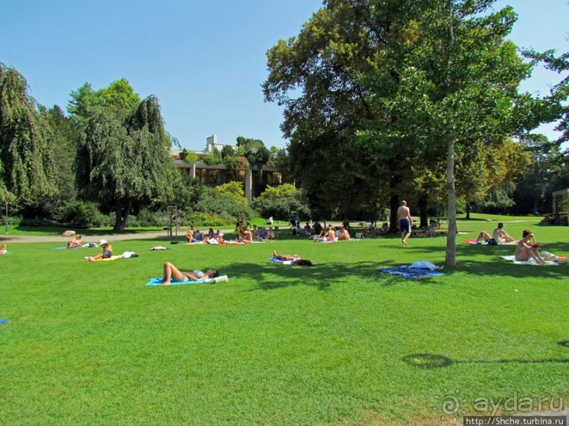 Цюрихское озеро. Берег левый, берег правый