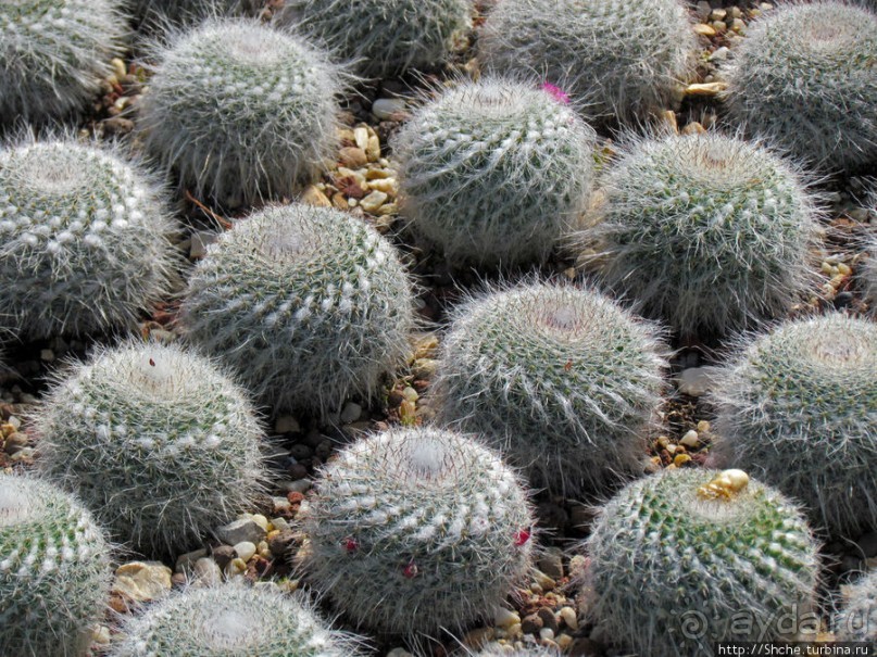 Цюрихское озеро. Берег левый, берег правый