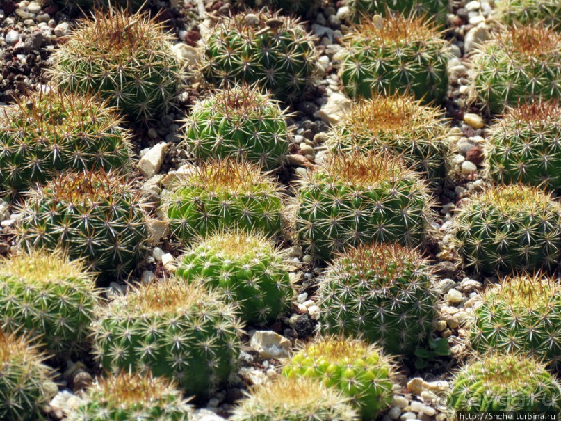 Цюрихское озеро. Берег левый, берег правый