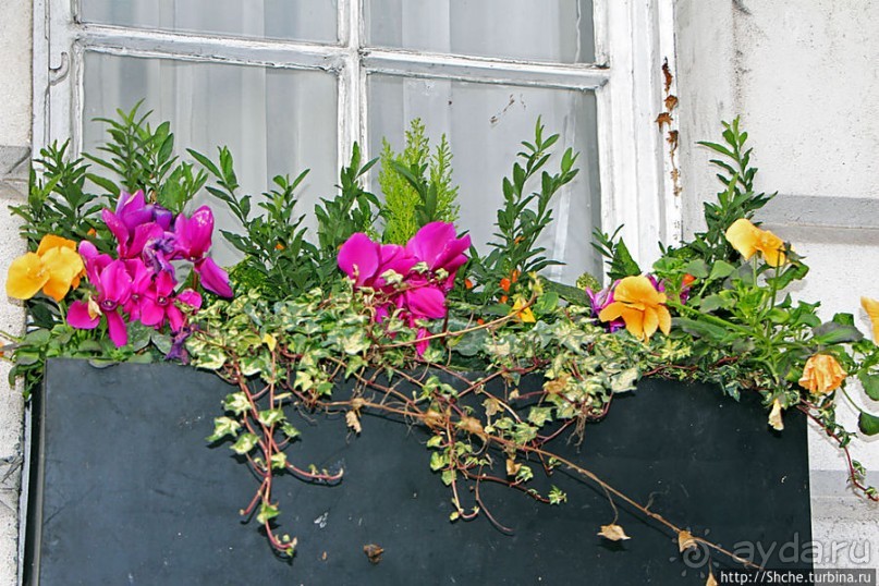 "По улице Пикадилли" ... я шел в сторону "Хард-Рок кафе"