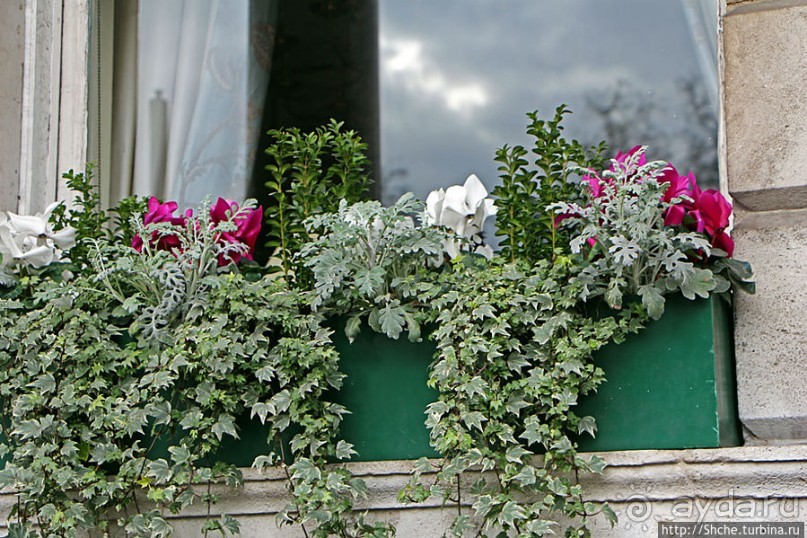 "По улице Пикадилли" ... я шел в сторону "Хард-Рок кафе"