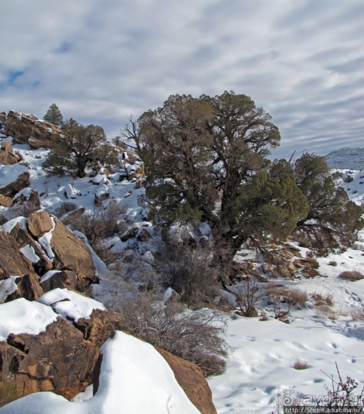 Нежная Арка - жемчужина парка Арчес, символ штата Юта.
