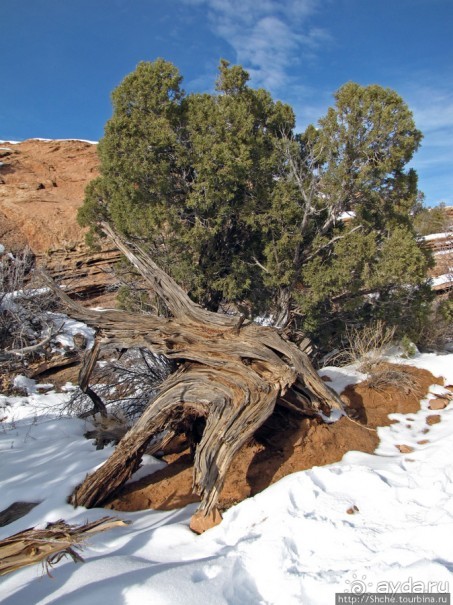 Нежная Арка - жемчужина парка Арчес, символ штата Юта.