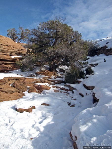 Нежная Арка - жемчужина парка Арчес, символ штата Юта.