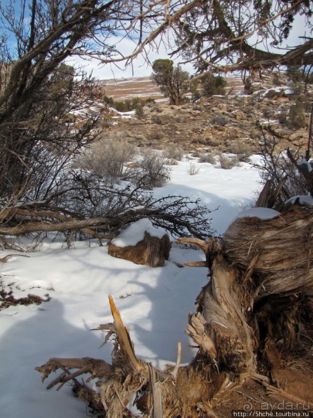 Нежная Арка - жемчужина парка Арчес, символ штата Юта.