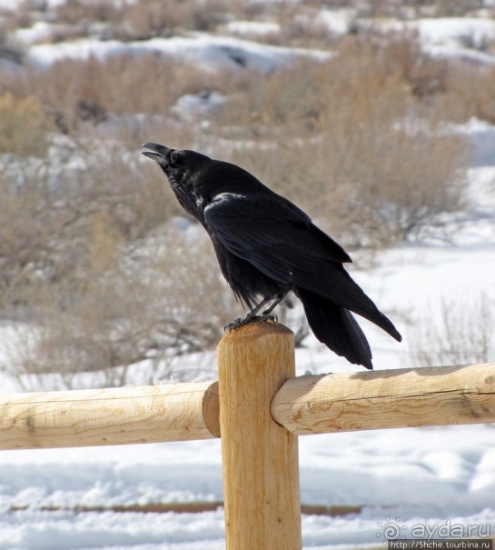 Нежная Арка - жемчужина парка Арчес, символ штата Юта.