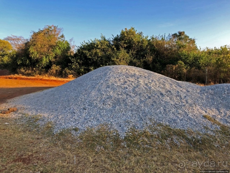 Ivory burning Site — монумент ради борьбы с браконьерством