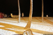 Альбом отзыва ""Здесь Вам не Лас-Вегас, здесь принцип иной" — огни Вайкики"