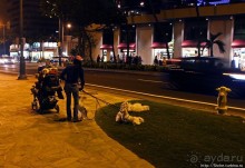 "Здесь Вам не Лас-Вегас, здесь принцип иной" — огни Вайкики