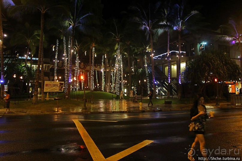 Альбом отзыва ""Здесь Вам не Лас-Вегас, здесь принцип иной" — огни Вайкики"