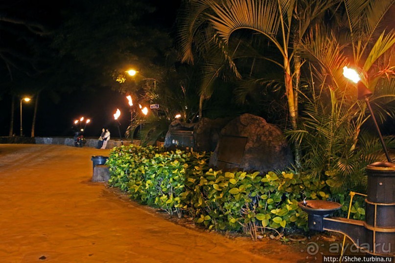 фото Вайкики