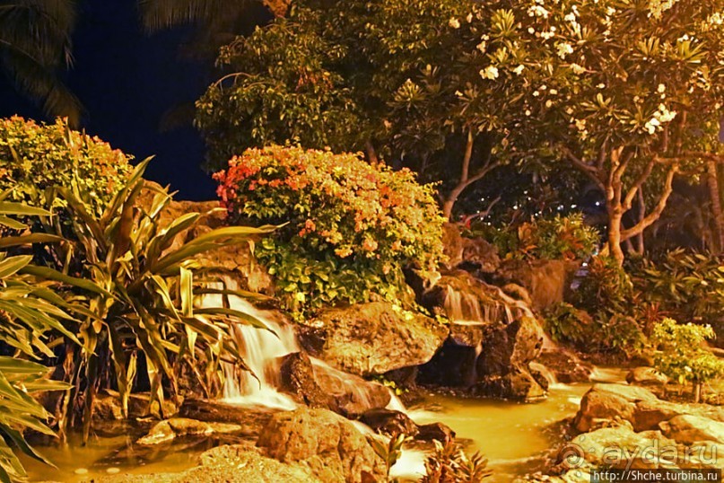 фото Вайкики