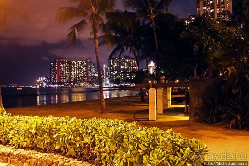 Альбом отзыва ""Здесь Вам не Лас-Вегас, здесь принцип иной" — огни Вайкики"