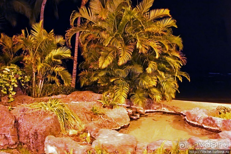 фото Вайкики