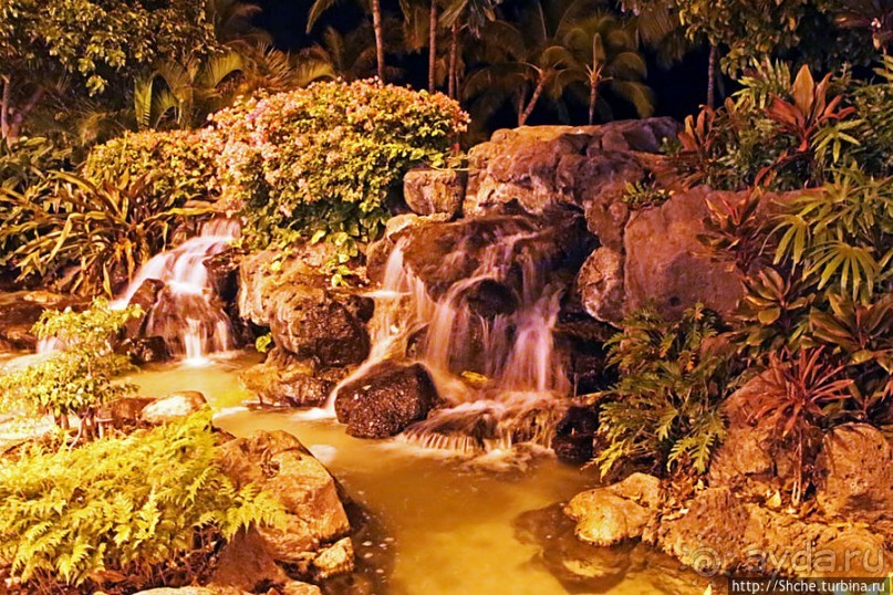 фото Вайкики