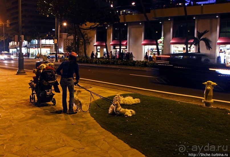 Альбом отзыва ""Здесь Вам не Лас-Вегас, здесь принцип иной" — огни Вайкики"