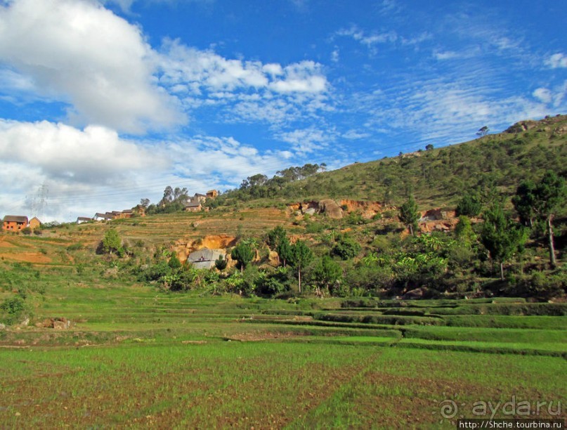 Мадагаскарские картинки. Первое впечатление
