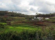 Мадагаскарские картинки. Первое впечатление