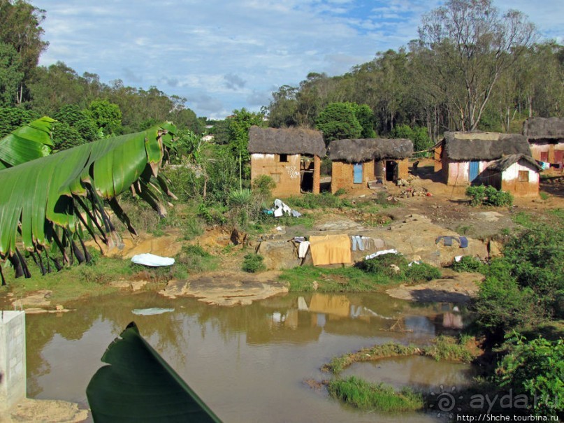 Мадагаскарские картинки. Первое впечатление