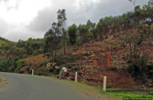 Мадагаскарские картинки. Первое впечатление
