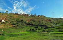 Мадагаскарские картинки. Первое впечатление