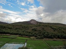 Мадагаскарские картинки. Первое впечатление