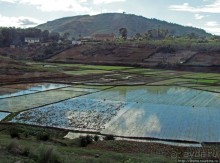 Мадагаскарские картинки. Первое впечатление