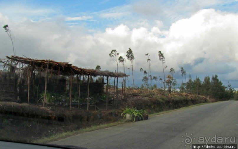 Мадагаскарские картинки. Первое впечатление