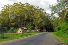 Мадагаскарские картинки. Первое впечатление