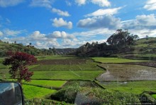 Мадагаскарские картинки. Первое впечатление