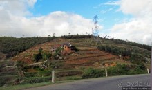Мадагаскарские картинки. Первое впечатление